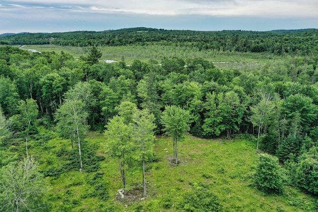 LOT12 S Rd S, Dixmont, ME 04932