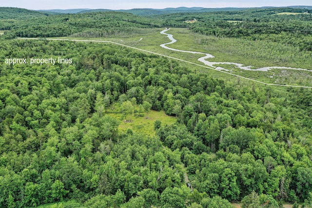 LOT12 S Rd S, Dixmont, ME 04932