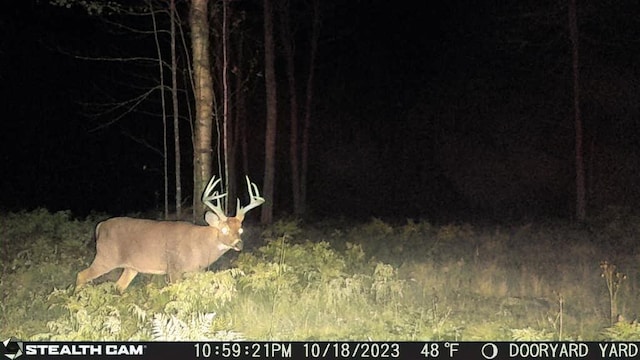 LOT12 S Rd S, Dixmont, ME 04932
