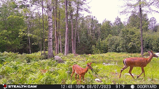 LOT12 S Rd S, Dixmont, ME 04932