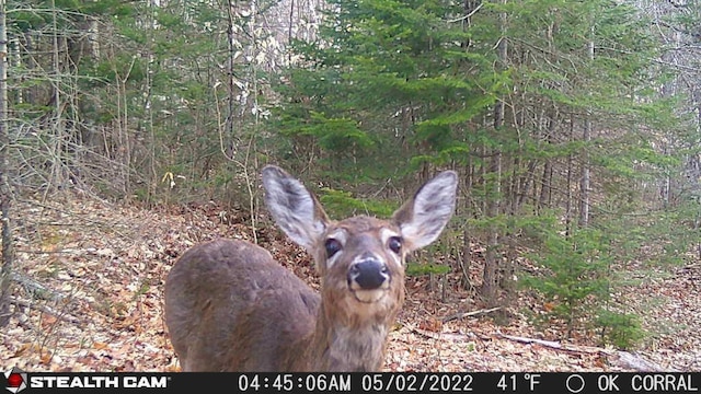 LOT12 S Rd S, Dixmont, ME 04932
