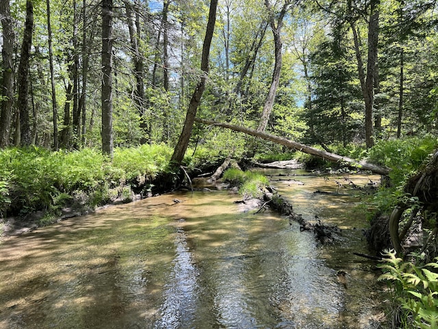 LotA Goodwin Road, Carthage, ME 04224 - water view
