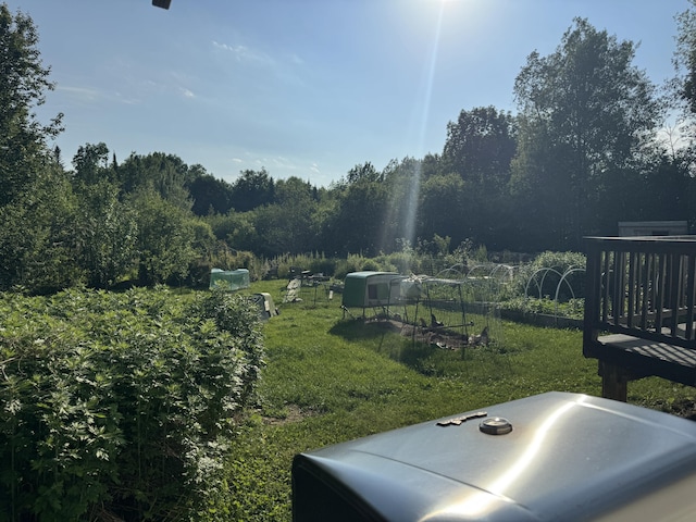 20 Moosehorn Rd, Abbot, ME 04406 - photo 48