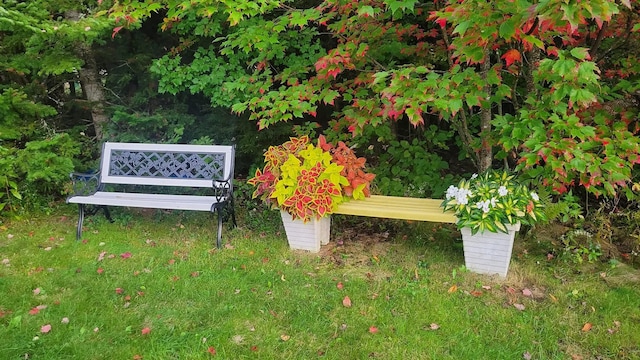 20 Moosehorn Rd, Abbot, ME 04406 - photo 57