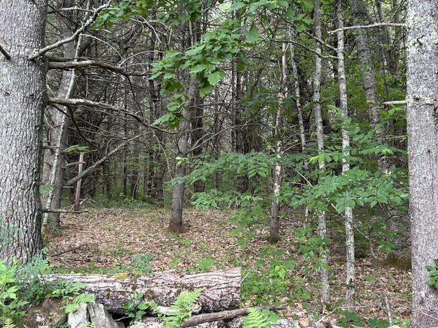 LOT3-412 Center St, Nobleboro, ME 04555