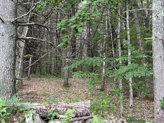 LOT3-412 Center St, Nobleboro, ME 04555