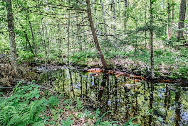 25 E Andrews Hill Rd, Otisfield, ME 04270