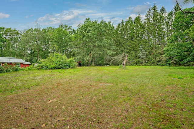 219 Mouse Ln, Alfred, ME 04002 - view of grassy yard featuring a forest view