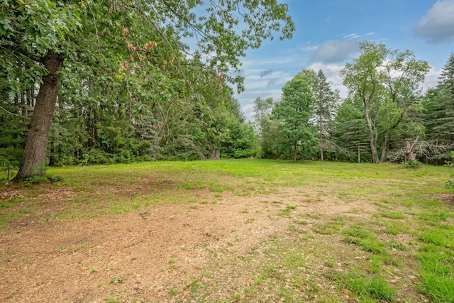 219 Mouse Ln, Alfred, ME 04002 - view of yard featuring a view of trees
