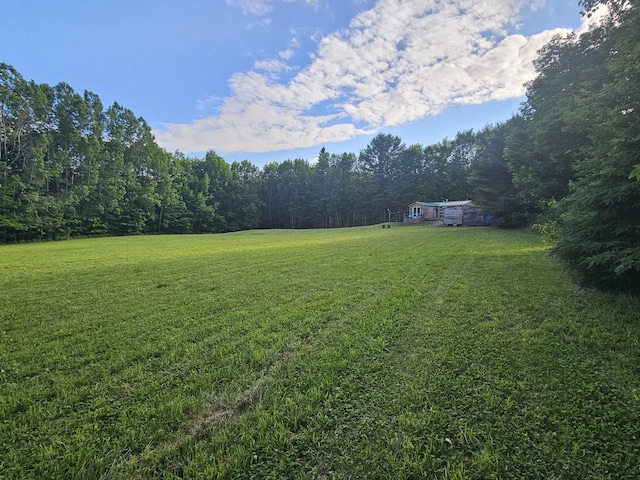 210 Cobb Rd, Lee, ME 04455 - view of green lawn featuring a view of trees