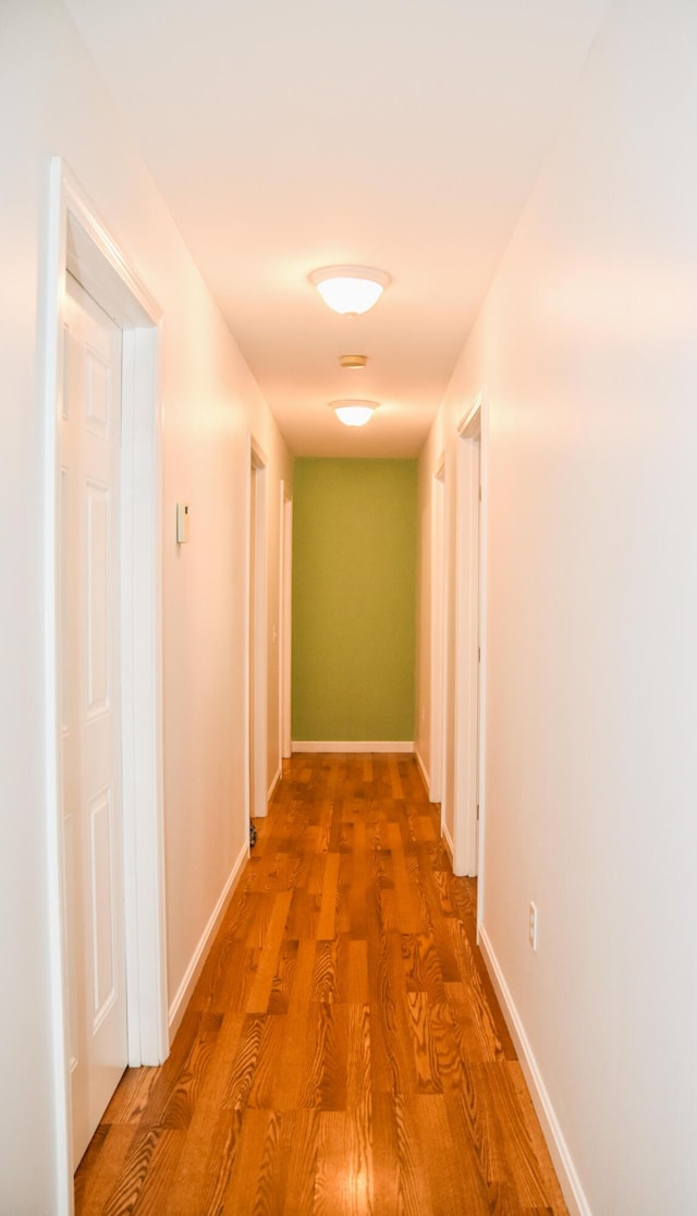 15 Good Heart Ln, Orrington, ME 04474 - corridor featuring wood finished floors and baseboards