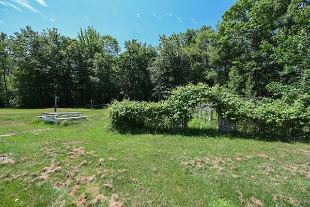 488 Bog Rd, Hermon, ME 04401 - view of green lawn