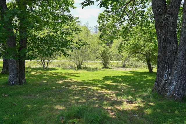 488 Bog Rd, Hermon, ME 04401 - view of green lawn
