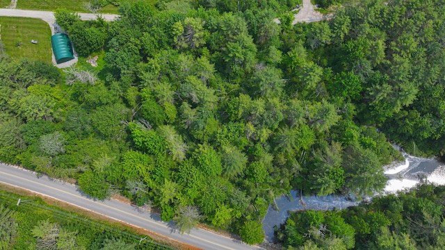 LOT4 Martha Rd, Casco, ME 04015 - photo 8