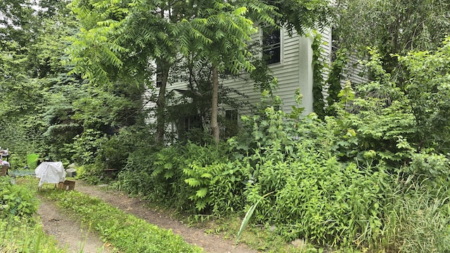 934 High St, Bath, ME 04530 - view of local wilderness