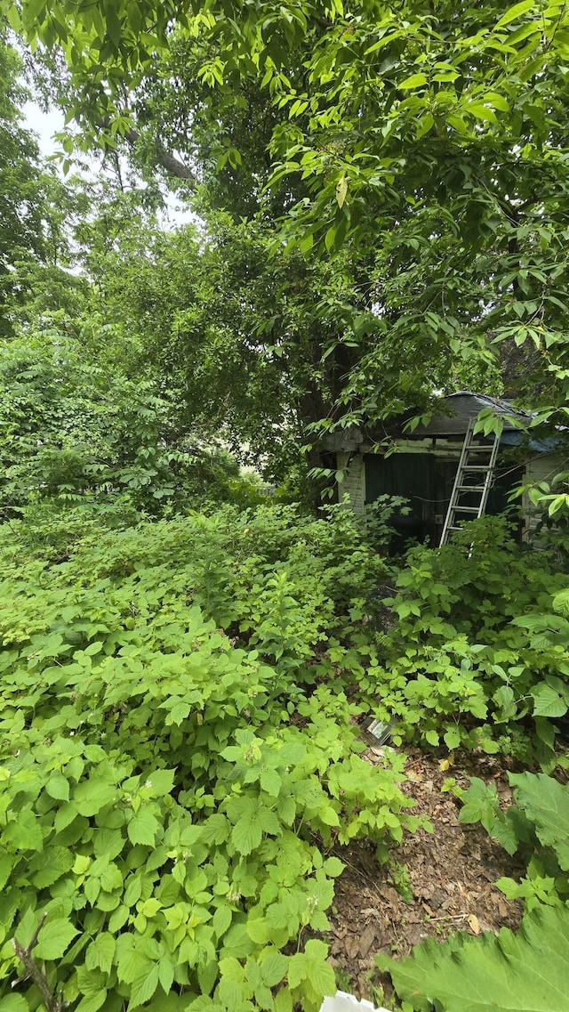 934 High St, Bath, ME 04530 - view of nature