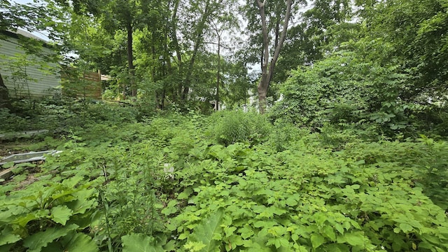 934 High St, Bath, ME 04530 - view of local wilderness