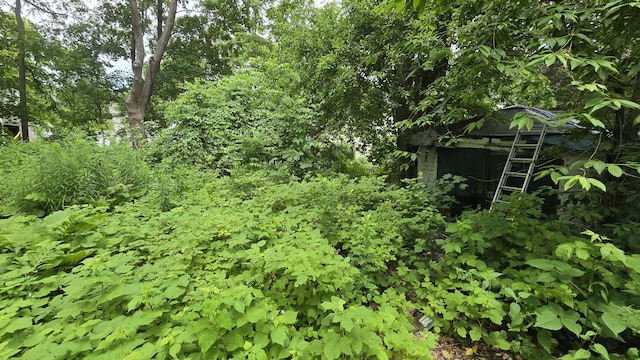 934 High St, Bath, ME 04530 - view of local wilderness