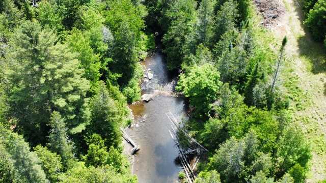 LotU County Road, New Limerick, ME 04761 - photo 4