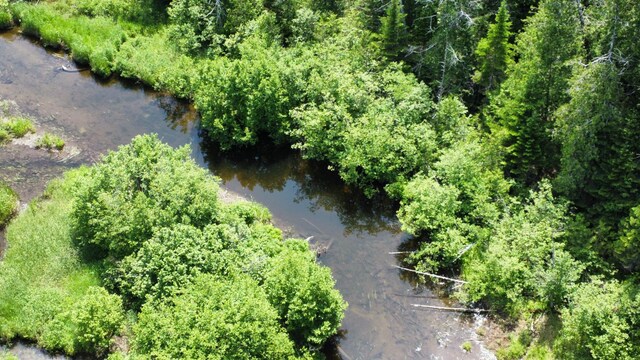LotU County Road, New Limerick, ME 04761 - photo 10