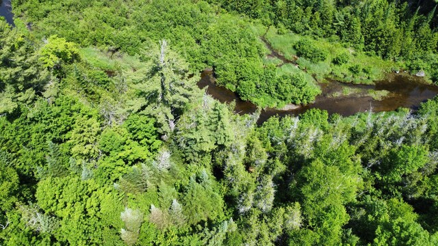 LotU County Road, New Limerick, ME 04761 - photo 12