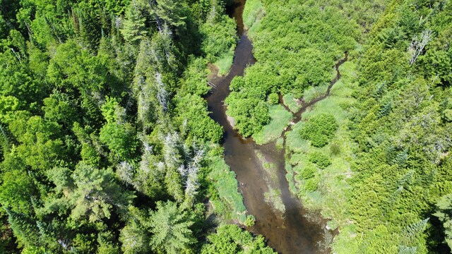 LotU County Road, New Limerick, ME 04761 - photo 13