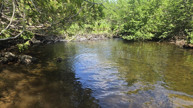 LotU County Road, New Limerick, ME 04761 - photo 14
