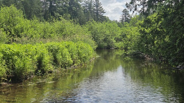 LotU County Road, New Limerick, ME 04761 - photo 3