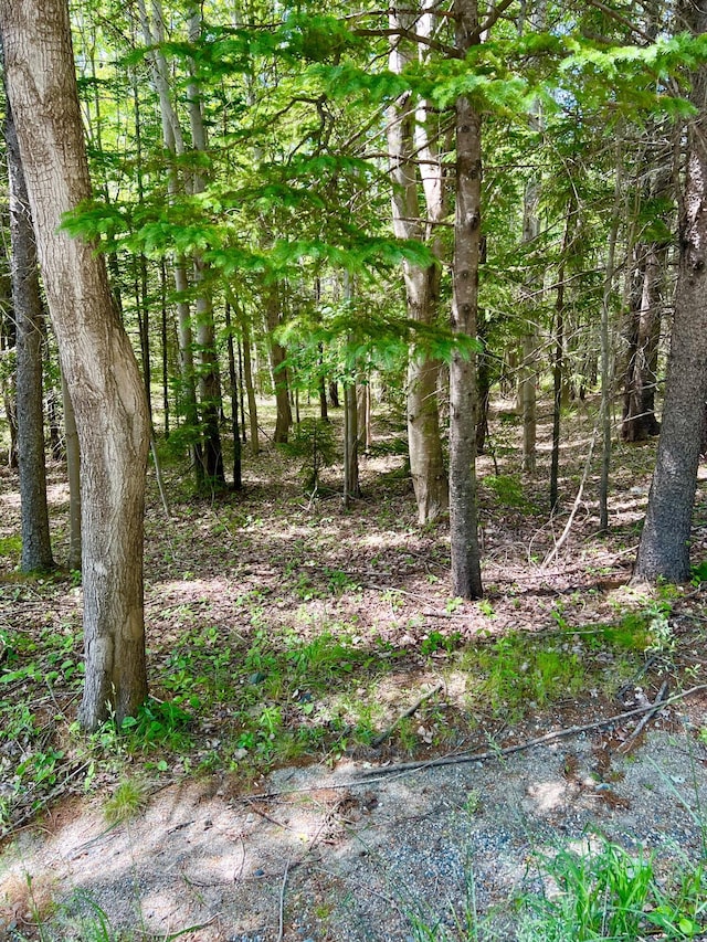 142 Seal Cove Rd, Southwest Harbor, ME 04679