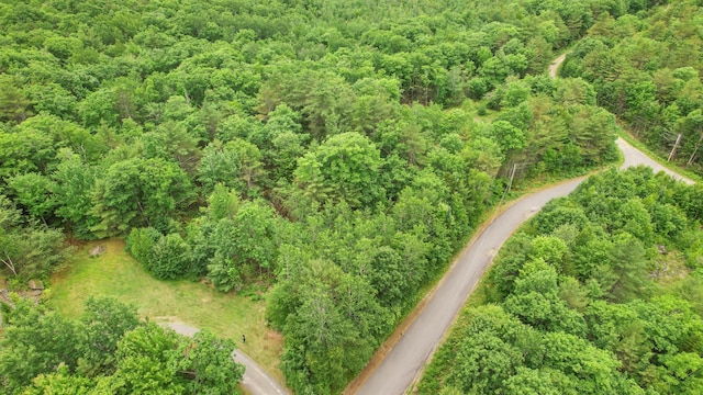 LOT18 Holly Ln, Swanville, ME 04915 - photo 1
