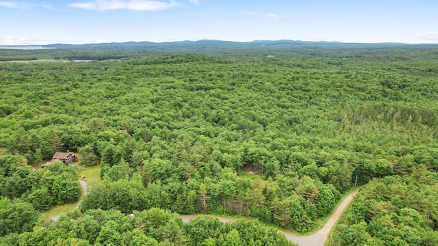 LOT18 Holly Ln, Swanville, ME 04915 - photo 5