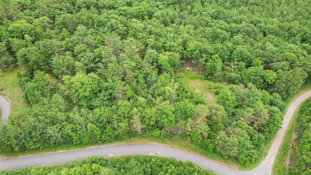 LOT18 Holly Ln, Swanville, ME 04915 - photo 6