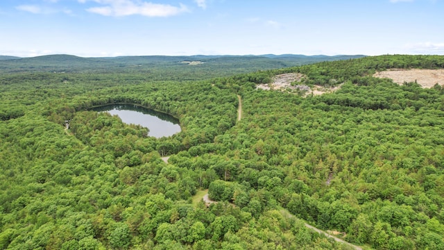 LOT18 Holly Ln, Swanville, ME 04915 - photo 7