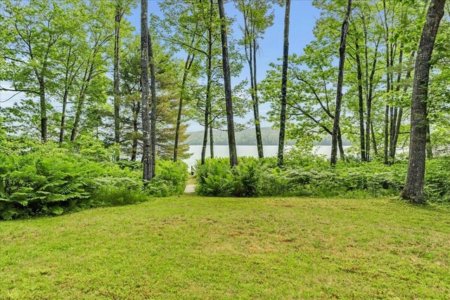 19 Upper John Orcutt Beach Rd, Brooksville, ME 04616 - photo 49