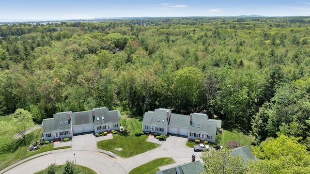 23 Chestnut Ln Unit 23, Wells, ME 04090 - aerial view of a heavily wooded area