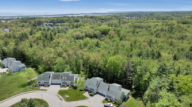 23 Chestnut Ln Unit 23, Wells, ME 04090 - bird's eye view of a forest