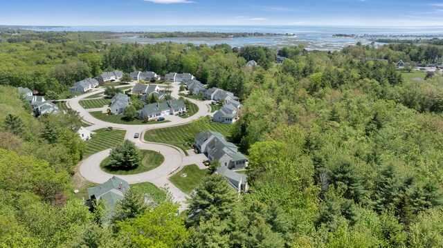 23 Chestnut Ln Unit 23, Wells, ME 04090 - aerial view of property's location featuring a forest and a nearby body of water
