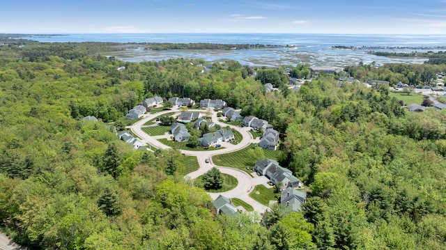 23 Chestnut Ln Unit 23, Wells, ME 04090 - aerial view of property's location with a heavily wooded area and a large body of water