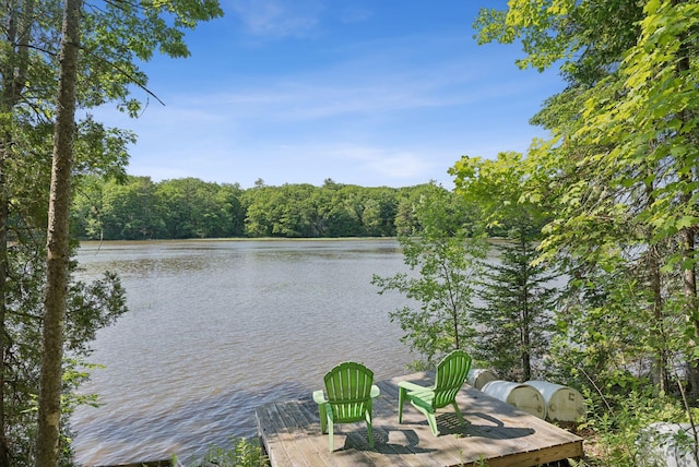 7 Dakota Ln, Dresden, ME 04342 - water view featuring a boat dock and a heavily wooded area