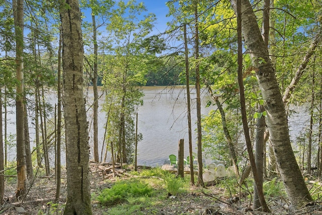 7 Dakota Ln, Dresden, ME 04342 - water view