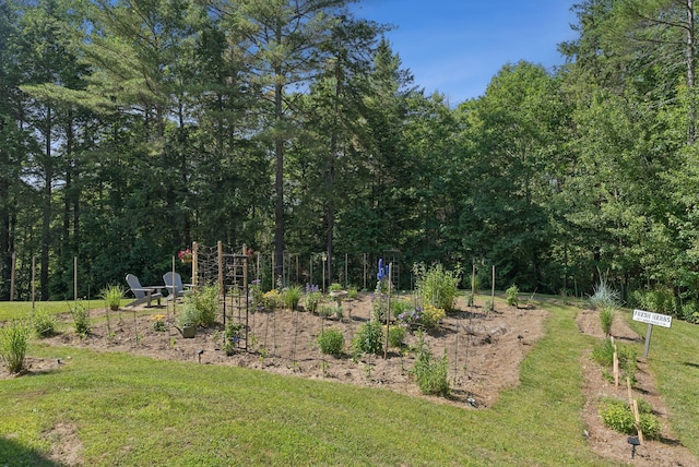 7 Dakota Ln, Dresden, ME 04342 - view of green lawn