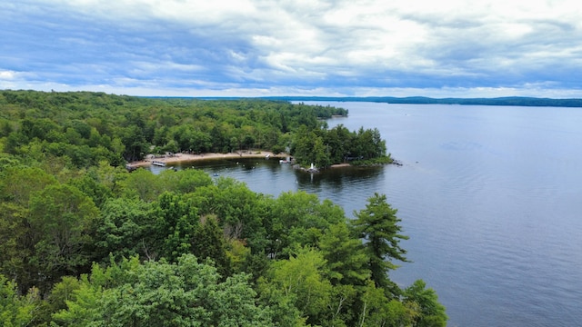272 Leisure Ln, Frye Island, ME 04071 - photo 1