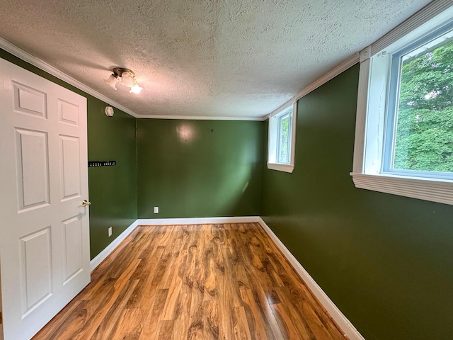 43 Holland St, Bangor, ME 04401 - photo 25