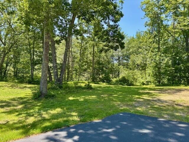 2 Oak Ridge Rd, Kennebunkport, ME 04046 - view of green lawn with a patio