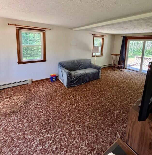 2 Oak Ridge Rd, Kennebunkport, ME 04046 - living area featuring carpet, a textured ceiling, a baseboard radiator, and plenty of natural light
