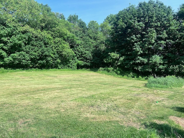 17 Pleasant St, Wilton, ME 04294 - view of green lawn with a view of trees