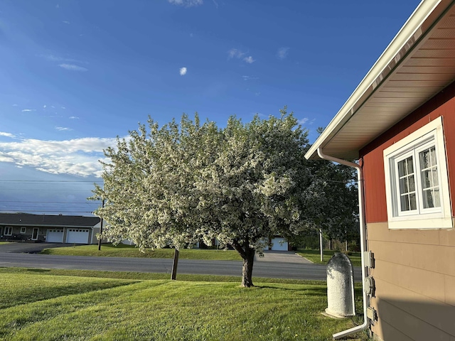 749 Main St, Madawaska, ME 04756 - view of grassy yard