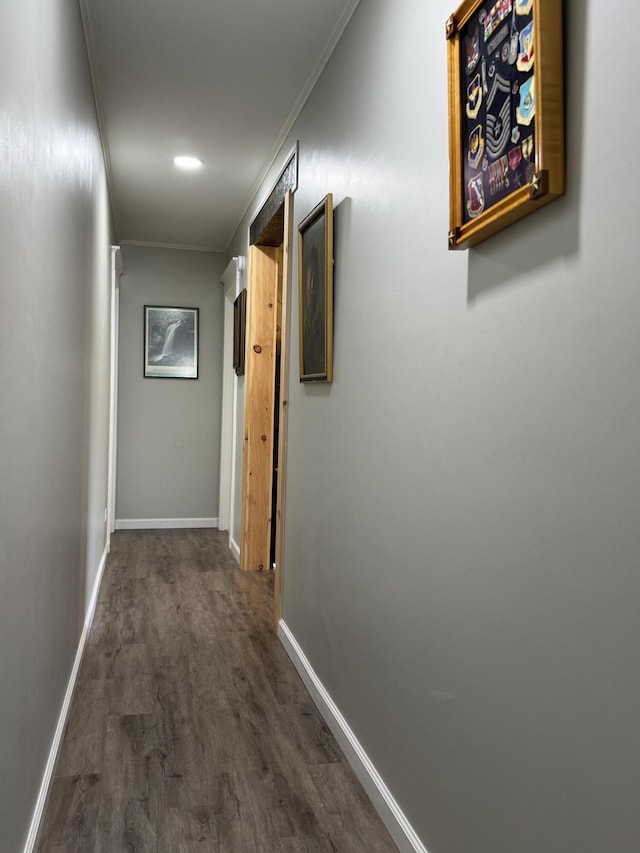 749 Main St, Madawaska, ME 04756 - corridor with dark wood finished floors and ornamental molding