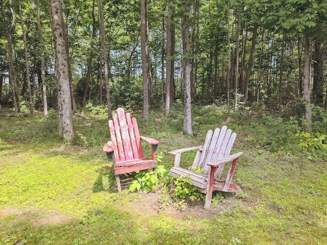 100 Starlight Dr, Brewer, ME 04412 - view of yard