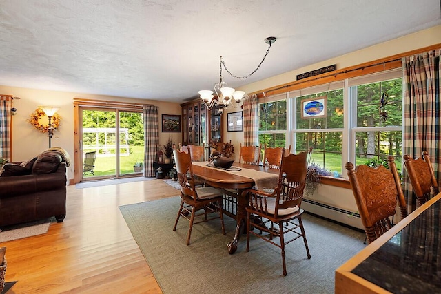 1 Castle View Ln, Belgrade, ME 04917 - dining room with a baseboard heating unit, a chandelier, and light wood finished floors